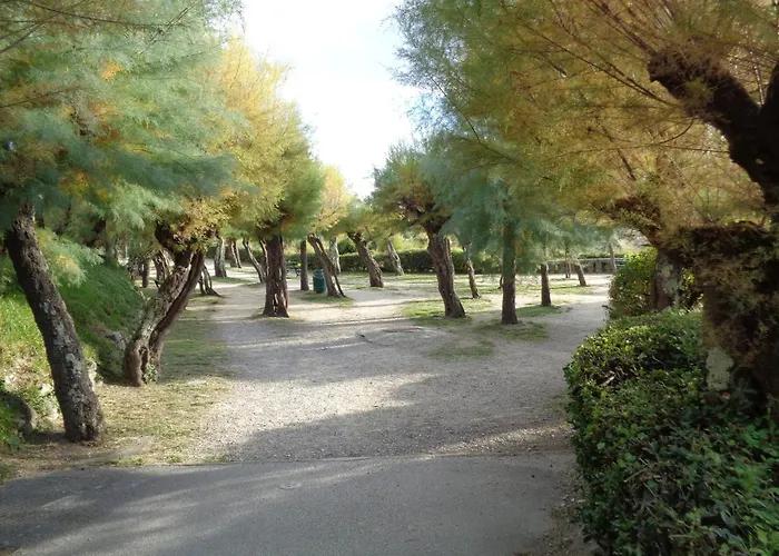 Apartamento Prive Standing -le Regina Et Golf- *