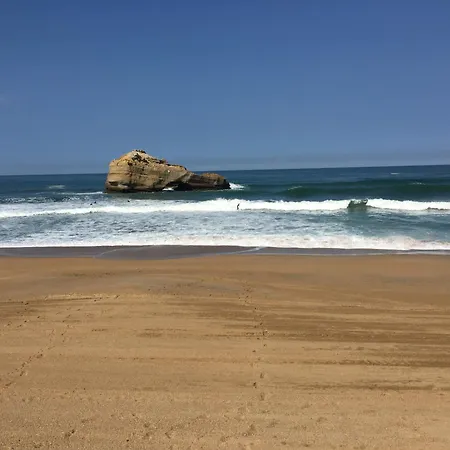 Lejlighed Prive Standing -le Regina Et Golf- *