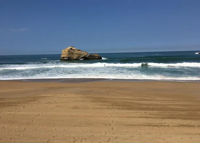 Lägenhet Prive Standing -le Regina Et Golf- *